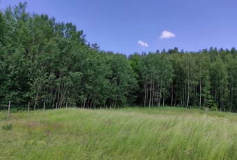 Działka Sprzedam warmińsko-mazurskie Lidzbark Warmiński -3