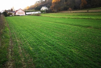 Działka Sprzedam małopolskie Łososina Dolna Tęgoborze-3