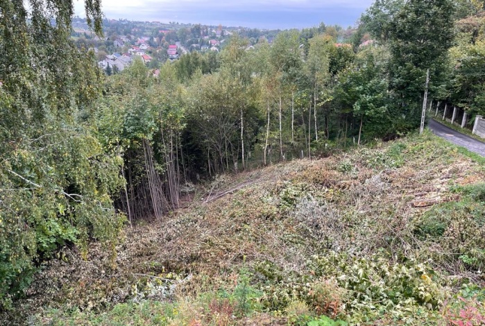 Działka na sprzedaż w Jerzmanowice-Przeginia  Dębowa Góra o powierzchni 1800 mkw