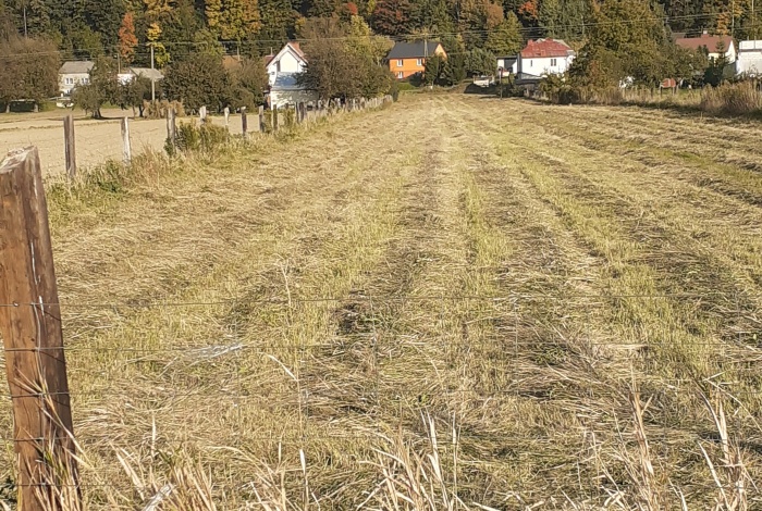 Działka na sprzedaż w Kazimierz Dolny   o powierzchni 7150 mkw