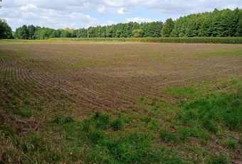 Działka Sprzedam dolnośląskie Jelcz-Laskowice -2