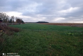 Działka Sprzedam wielkopolskie Skoki -1