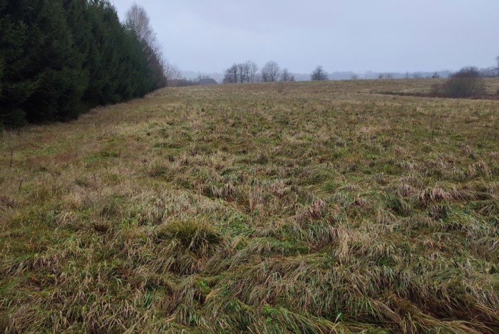 Działka na sprzedaż w Ostróda   o powierzchni 7781 mkw