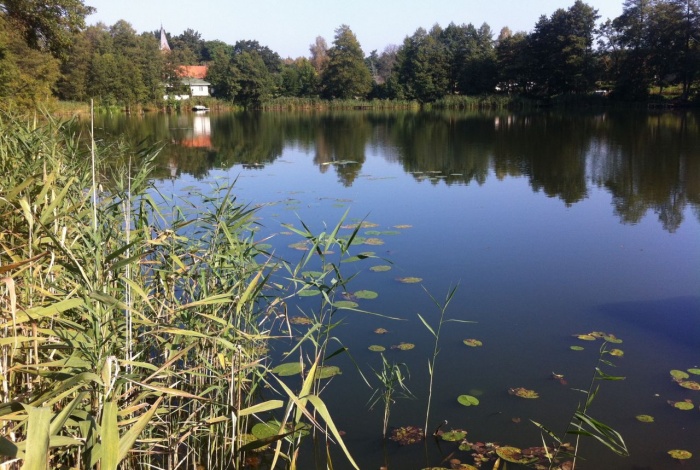 Działka na sprzedaż w Krzeszyce Rudna  o powierzchni 1455 mkw