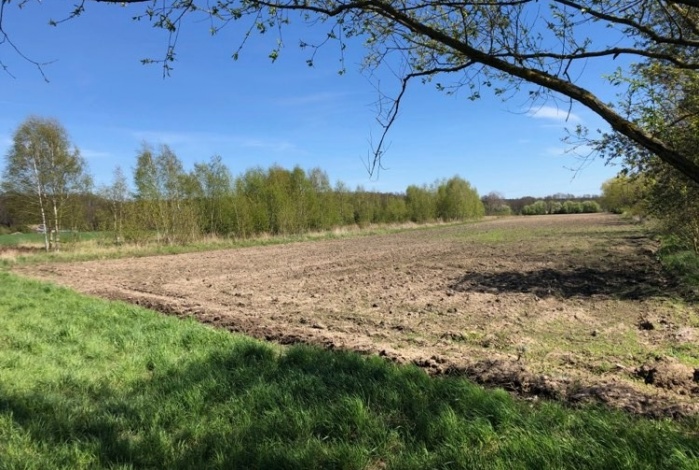 Działka na sprzedaż w Dobroszyce Miodary  o powierzchni 1200 mkw