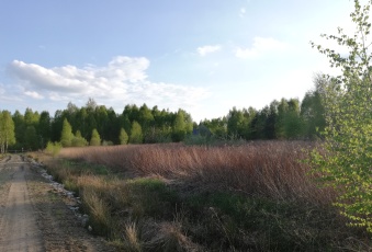 Działka Sprzedam mazowieckie Puszcza Mariańska Bednary-2