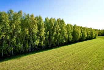 Działka Sprzedam kujawsko-pomorskie Skrwilno Wólka-1