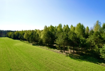 Działka Sprzedam kujawsko-pomorskie Skrwilno Wólka-2