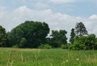 Działka Sprzedam kujawsko-pomorskie Wielka Nieszawka Wielka Nieszawka-3