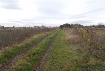 Działka Sprzedam dolnośląskie Jaworzyna Śląska -3