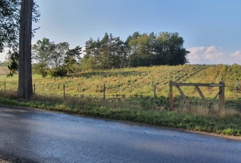 Działka Sprzedam zachodniopomorskie Krzęcin Chłopowo-2