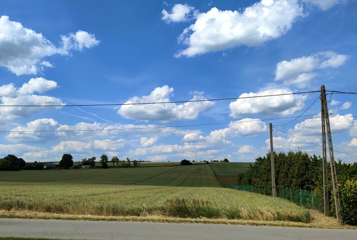 Działka na sprzedaż w Radziemice Obrażejowice  o powierzchni 4000 mkw