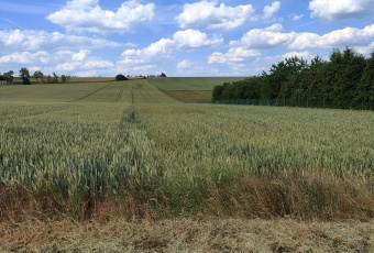 Działka Sprzedam małopolskie Radziemice Obrażejowice-3