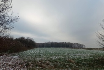 Działka Sprzedam lubelskie Puławy Puławy-1