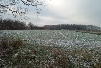 Działka Sprzedam lubelskie Puławy Puławy-3