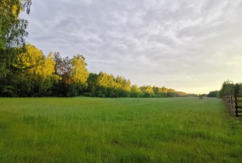 Działka Sprzedam mazowieckie Nowe Miasto Miszewo Wielkie-2