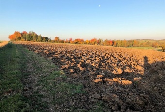 Działka Sprzedam małopolskie Wolbrom -2