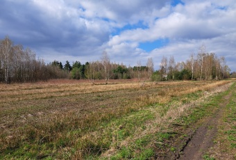 Działka Sprzedam mazowieckie Puszcza Mariańska Bednary-2