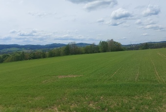 Działka Sprzedam małopolskie Ciężkowice -1