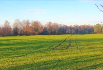 Działka Sprzedam warmińsko-mazurskie Kozłowo Gołębiewo-1