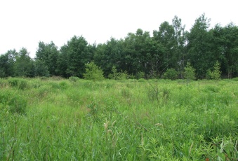 Działka Sprzedam małopolskie Czernichów Przeginia Narodowa-1