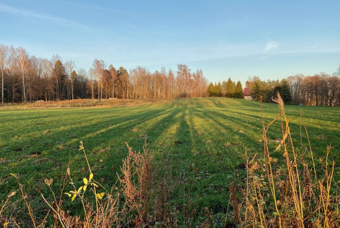 Działka na sprzedaż w Węgorzewo   o powierzchni 23010 mkw