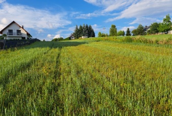 Działka Sprzedam podkarpackie Dębica Dębica-1