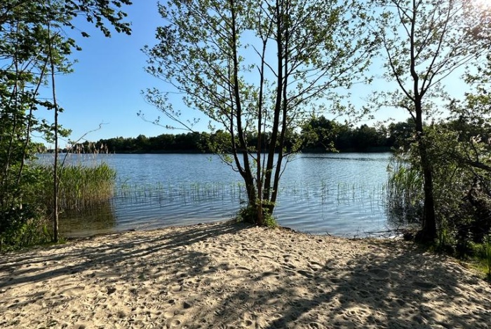 Działka na sprzedaż w Brzuze Gulbiny 71 o powierzchni 1547 mkw