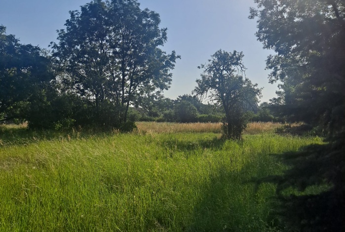 Działka na sprzedaż w Wisznia Mała Ozorowice Za Ogrodami o powierzchni 1000 mkw