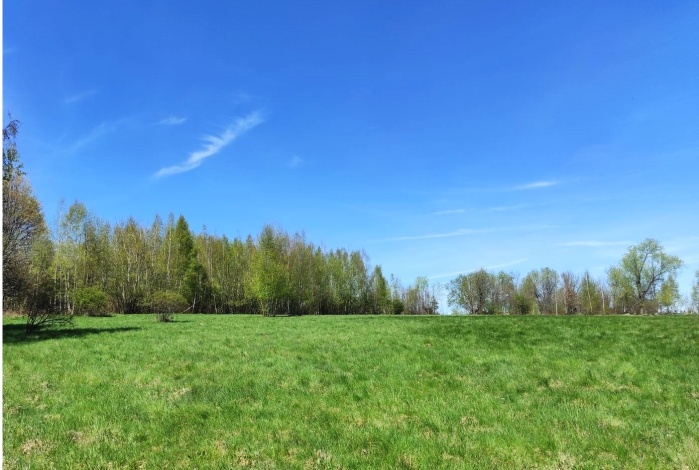 Działka na sprzedaż w Polanica-Zdrój Nowy Wielisław Władysława Reymonta 4 o powierzchni 49947 mkw