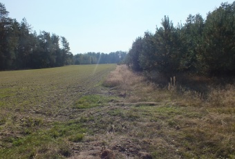 Działka Sprzedam mazowieckie Winnica Winnica-1