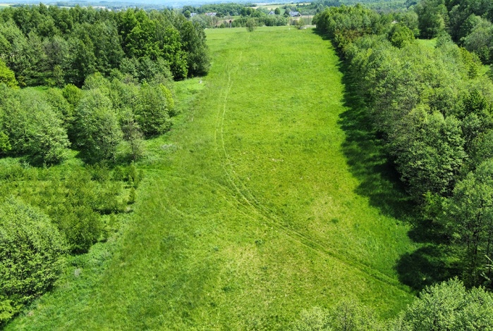 Działka na sprzedaż w Kołaczyce  Sieklówka  o powierzchni 13200 mkw