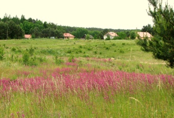 Działka Sprzedam warmińsko-mazurskie Barczewo -3