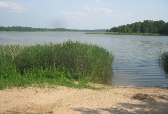 Działka Sprzedam warmińsko-mazurskie Węgorzewo -3