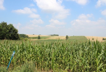 Działka Sprzedam dolnośląskie Strzelin -1