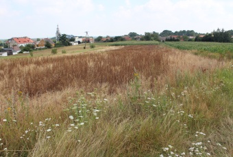 Działka Sprzedam dolnośląskie Strzelin -3