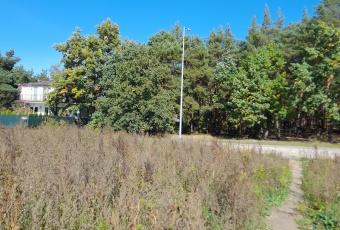 Działka Sprzedam mazowieckie Czosnów Pieńków-1