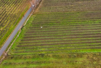 Działka Sprzedam mazowieckie Jasieniec Warpęsy-2