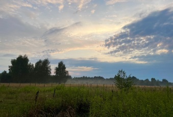 Działka Sprzedam mazowieckie Leoncin Secymin Polski-1