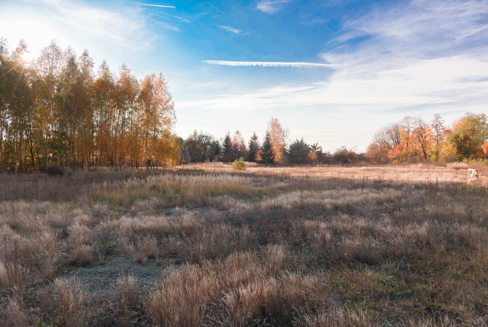 Działka na sprzedaż w Gorzkowice Krosno  o powierzchni 1349 mkw